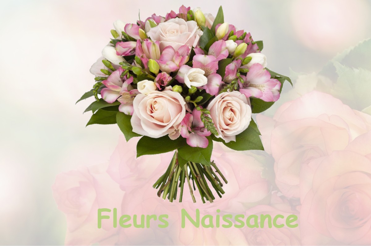 fleurs naissance SCHWEYEN